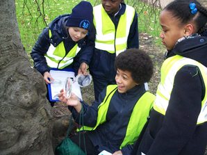 Pupils inspecting lichen to measure air pollution as part of the Cleaner Air 4 Schools scheme - Defra has awarded funding to several London council's to roll out the scheme in local schools