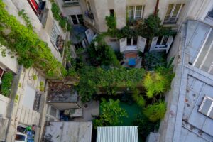 Waste CO2 could be used to boost rooftop gardens