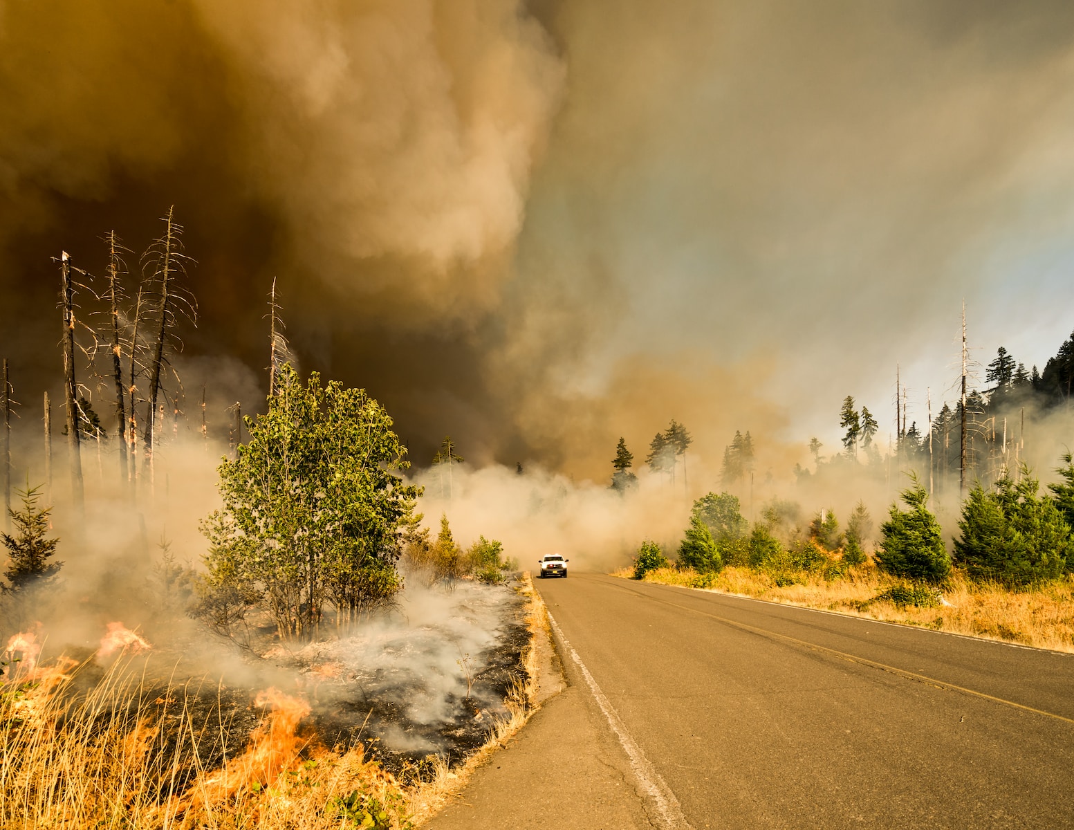 Wildfire smoke can trigger inflammation in the brain, new research