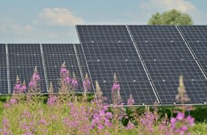 New tool to help Local Authorities site solar and wind projects