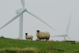 Highland Council set out community benefit expectations from renewables