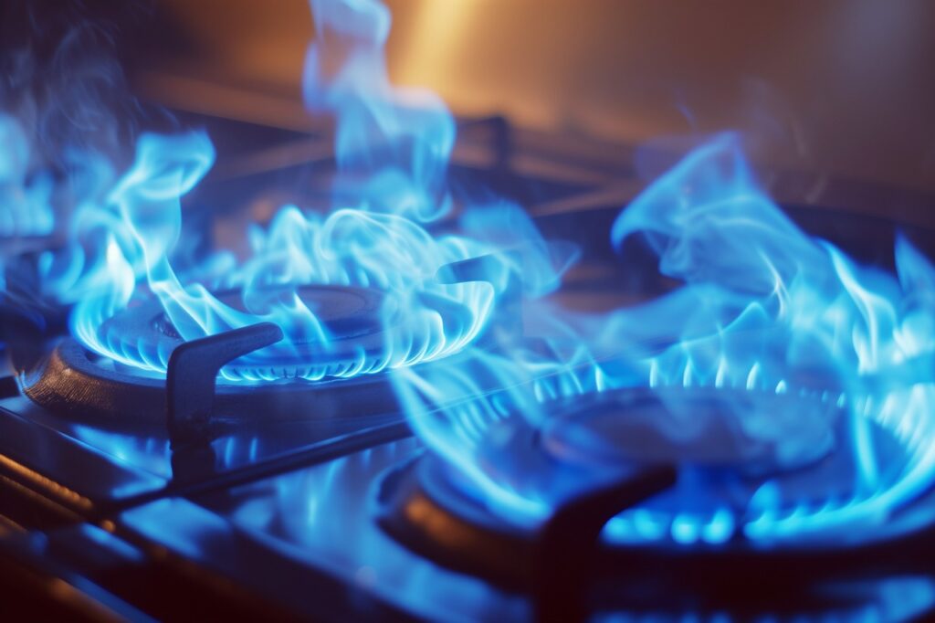 Campaigners turn the heat up on gas stoves