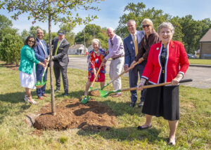 Planting trees can have immediate health benefits