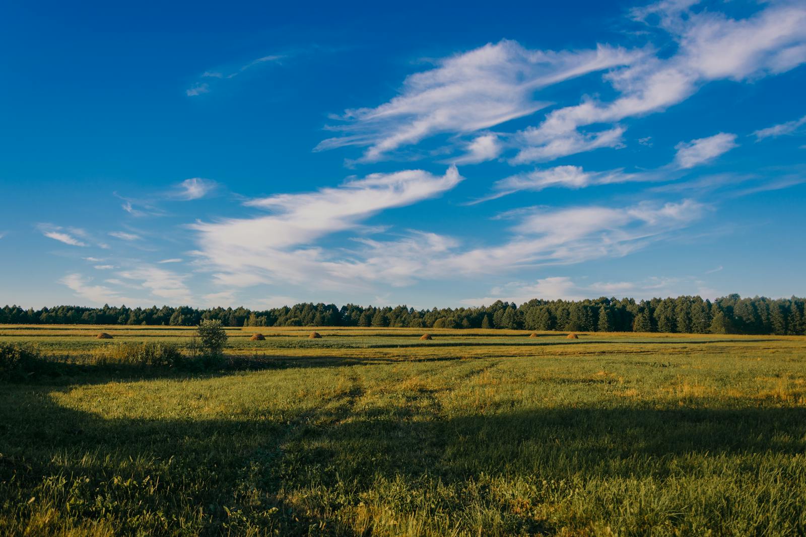 Friday: Online lecture ‘Chemistry: Delivering clean air for all’