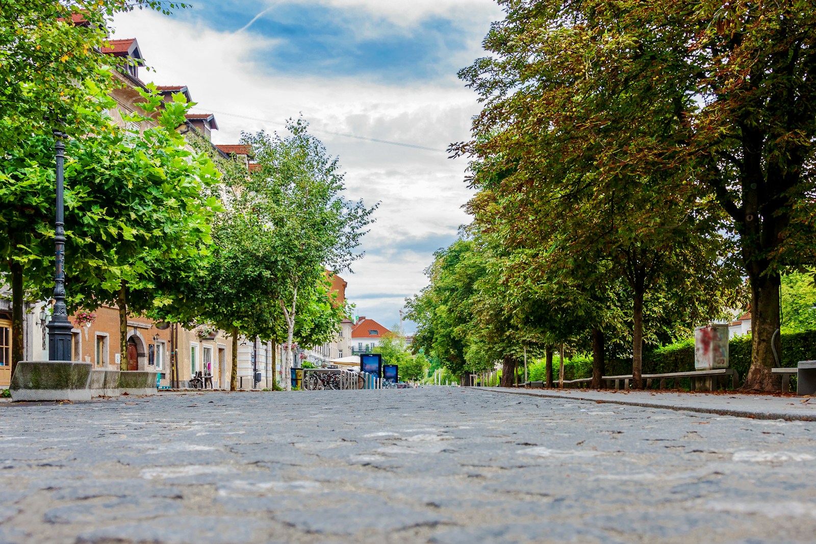 New project to offer ‘greening prescriptions’ to local communities