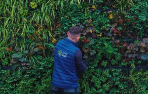 Living Walls at the Northern Air Quality Conference