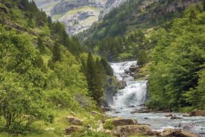 Study finds toxic chemicals in lichen and moss in the Pyrenees