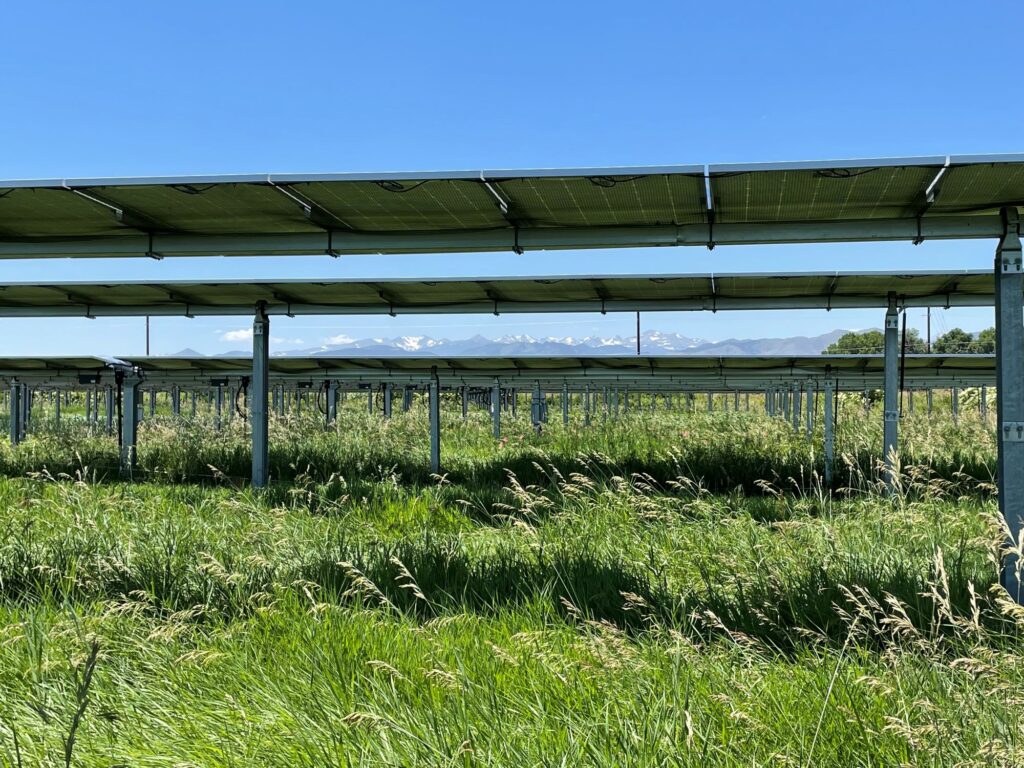 Can solar panels help grasslands thrive in drought?