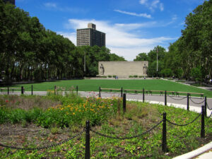 Green space linked to improved brain health for children