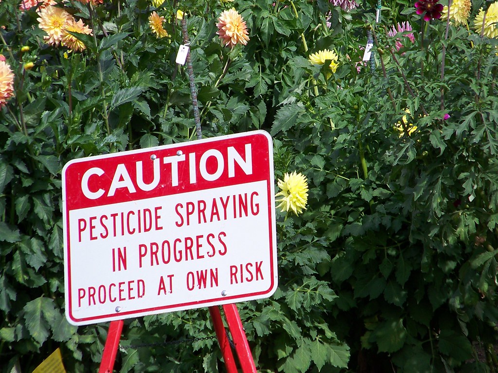 Airborne pesticides are more harmful and persistent than we thought