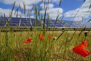 Solar farms threaten England’s best farmland, CPRE warns