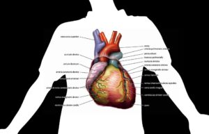 Air pollution is detrimental to cardiovascular health in young adults