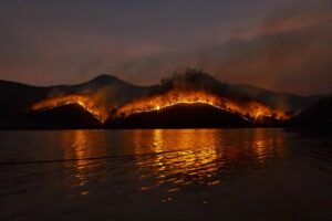 The toxic wildfire pollutant that refuses to break down