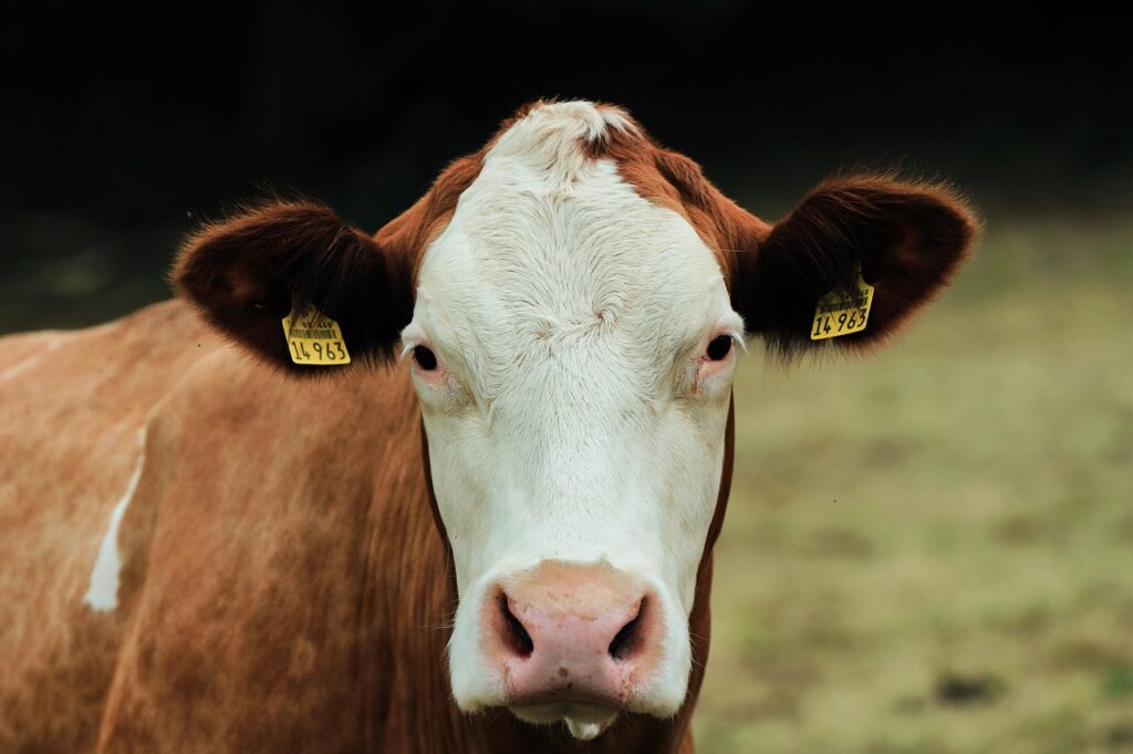 Government must set targets for methane reduction in the UK