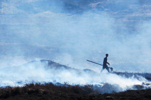 New ban will protect 200% more deep peat from burning