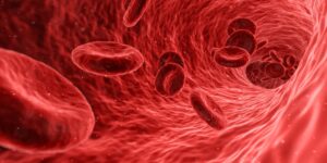 PM2.5 hitches a lift on red blood cells to spread through the body