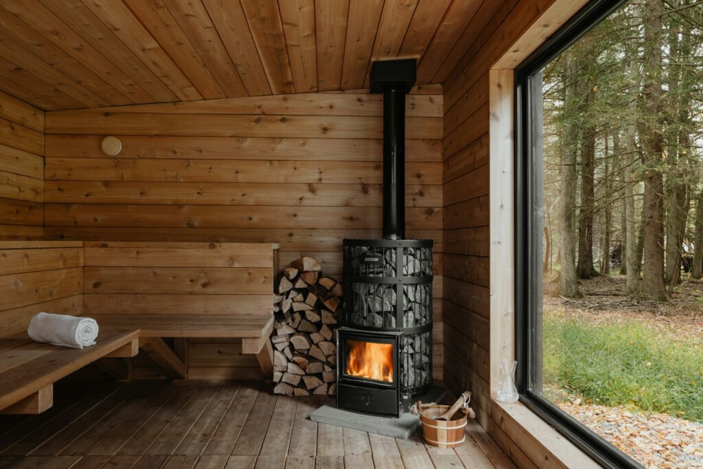 Banning domestic wood burning could save 16,500 life years annually