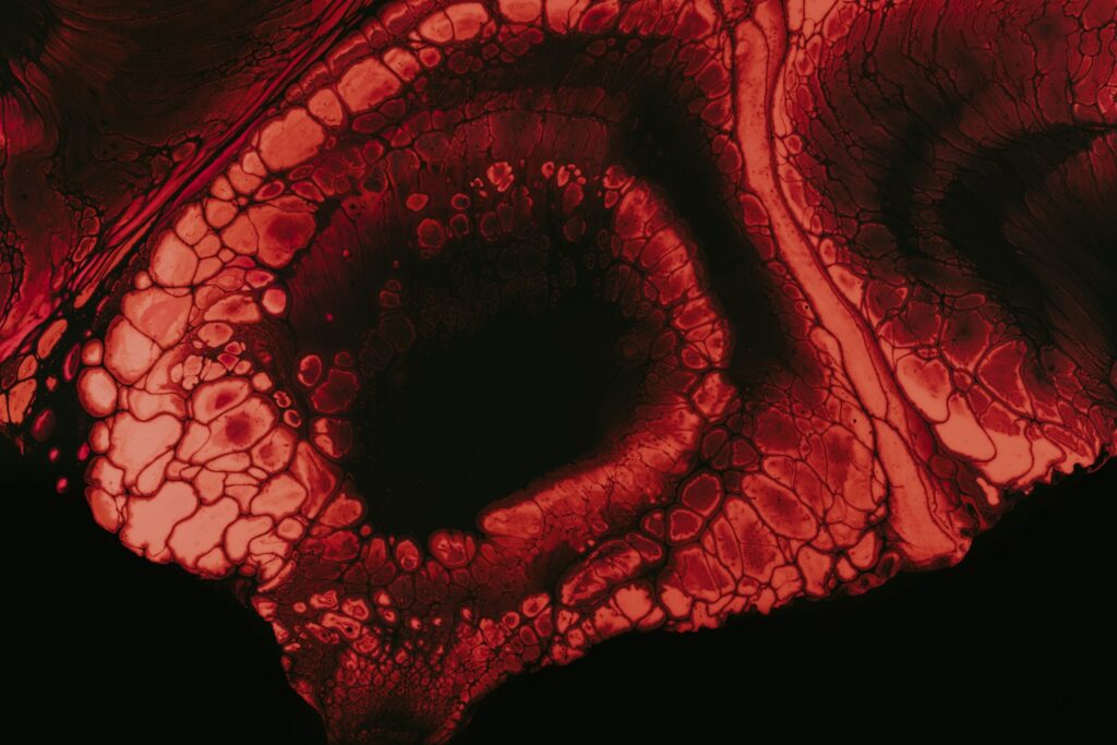 Air pollution linked to changes in newborn brain development