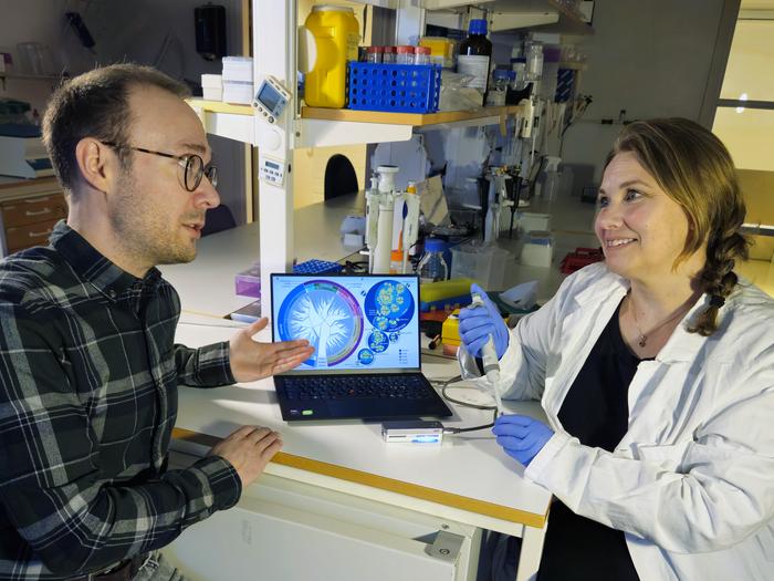 Archived air filters reveal 34 years of hidden biodiversity decline