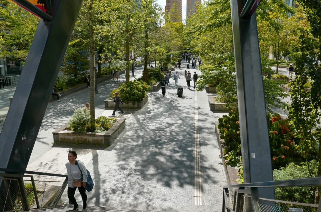 Councils equipped with new urban greening guide