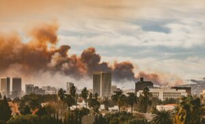 Smoke from LA wildfires drove people online for health advice