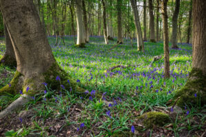 Rural air holds more microplastics than air in the city