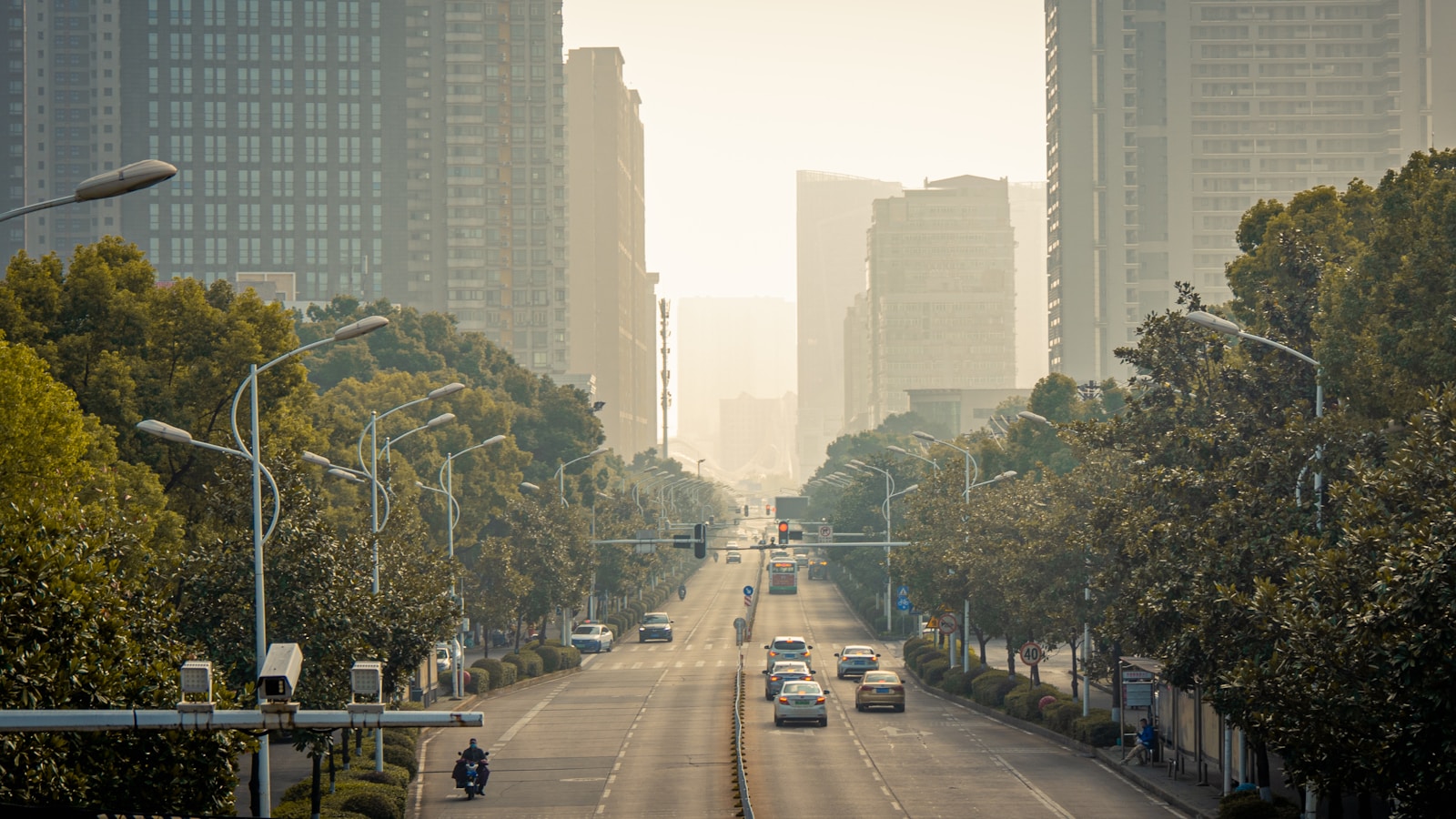 a street with cars and trees