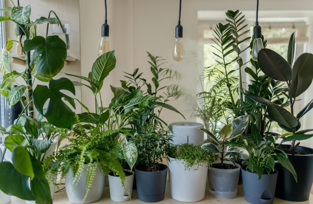 How indoor plant systems can benefit our environment