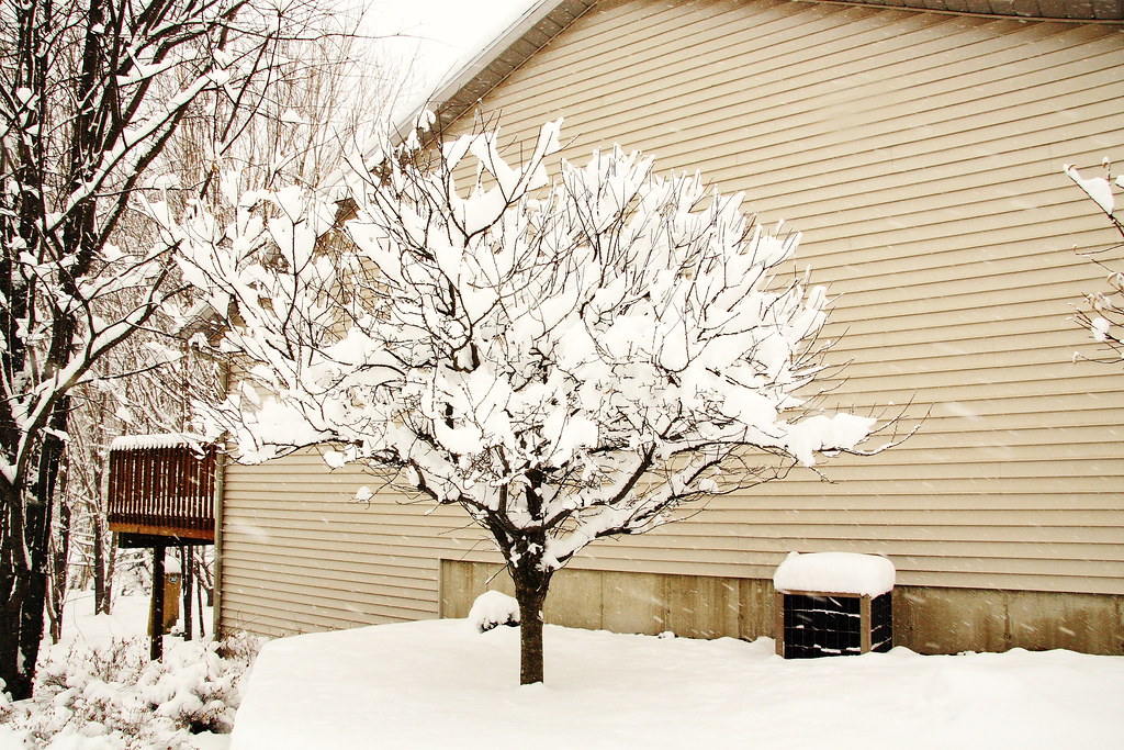 Melting snow triggers air quality alert across Michigan