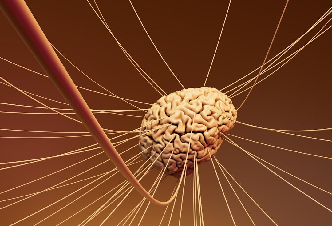 A computer generated image of a human brain