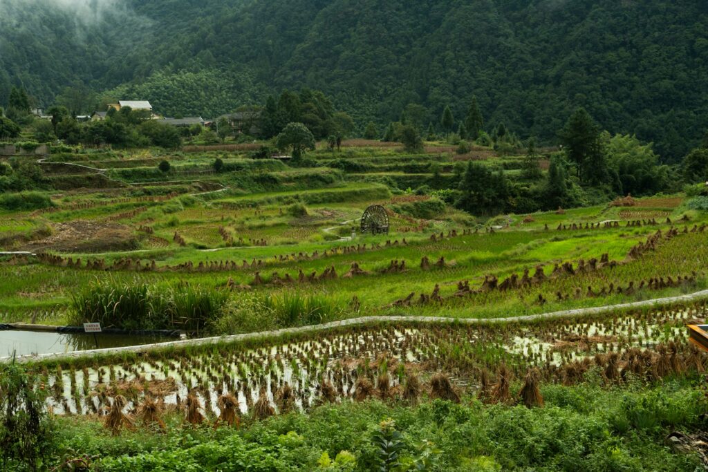 New study maps nitrogen pollution risks across China