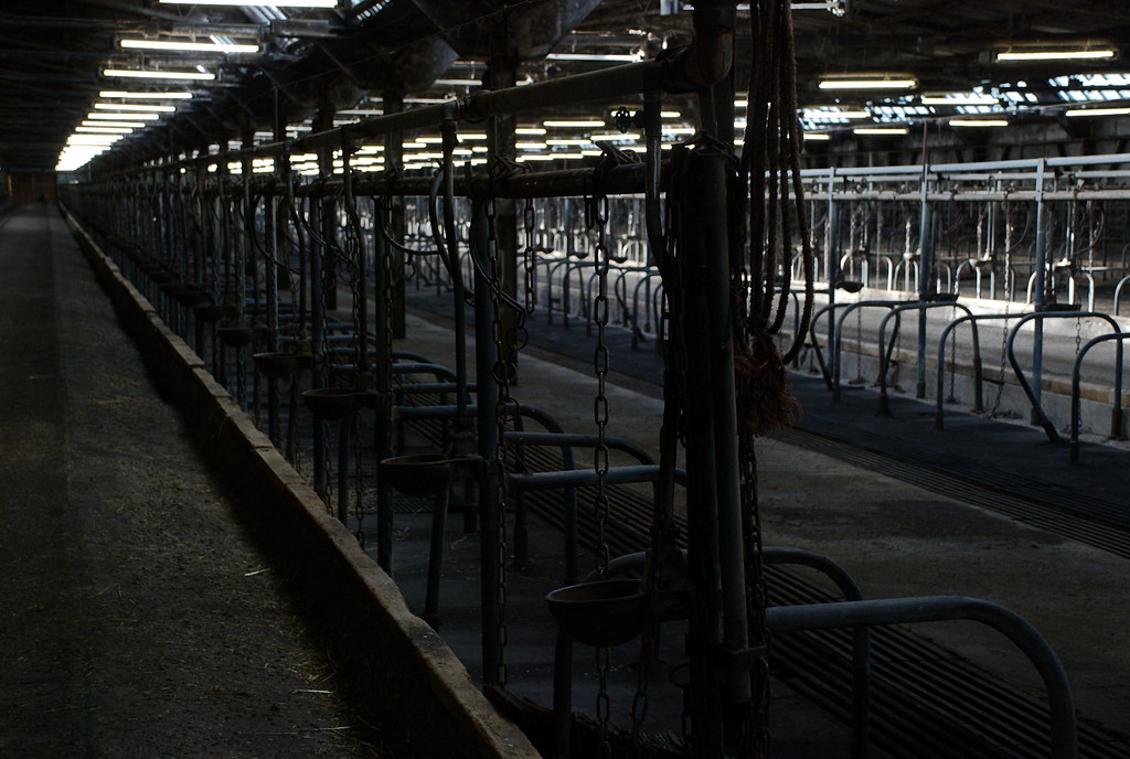 Interactive map reveals ammonia hotspots from factory farms