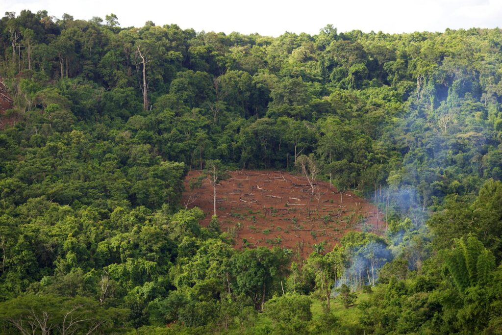 Changes in land use has devastating effect on air quality in southeast Asia