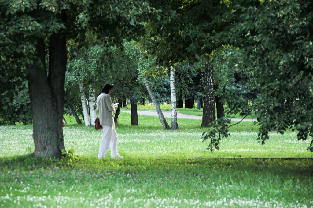 How parks offer a breath of fresher air, every 100 metres