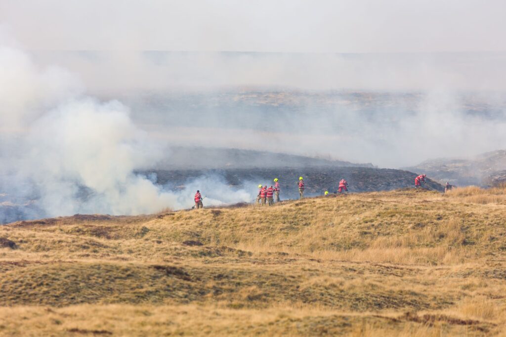 £97m to improve wildfire resilience
