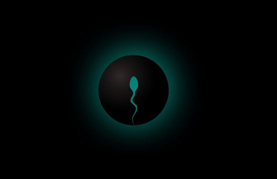 Air pollution found to alter sperm genes in fertility study