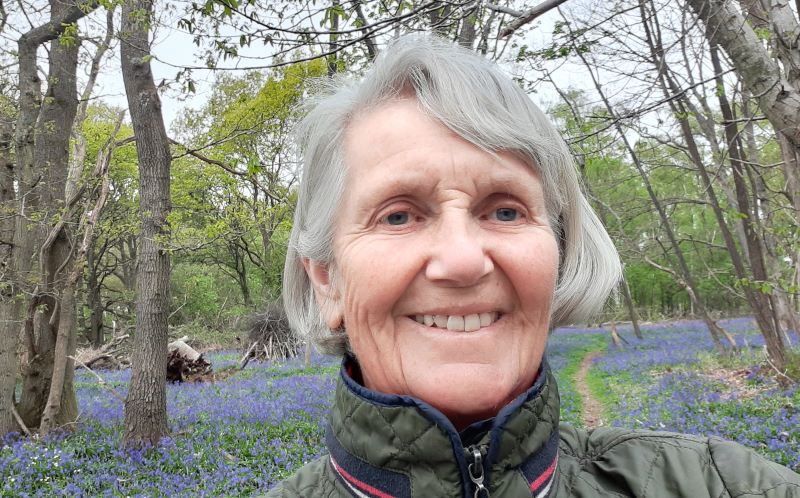 The Big Interview: Professor Helen ApSimon CBE